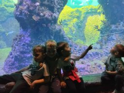 2025-05-20 Biedronki w ZOO
